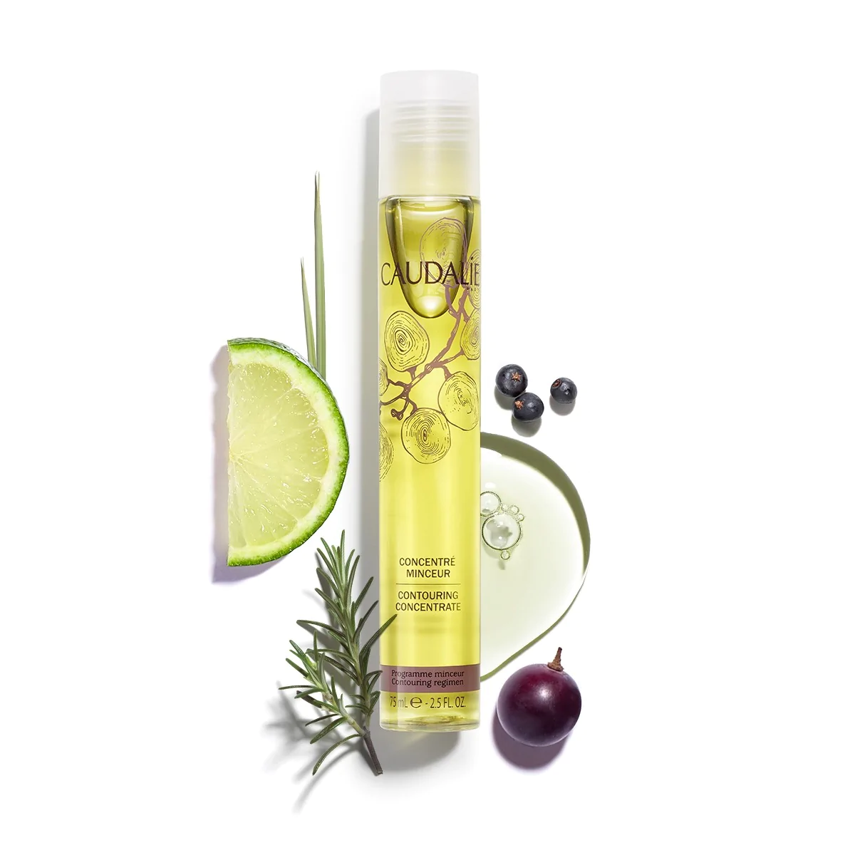 Caudalie-Maroc_programme-minceur_080-concentre-minceur-ingredients.webp CAUDALIE CONCENTRE MINCEUR 75ML