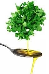 NaturEsoin Huile de Roquette 50 ml