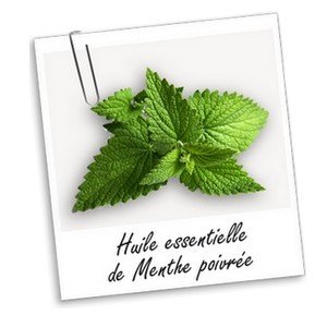 parapharmacie-marrakech-en-ligne-NatureEsoin-Huile-Essentielle-de-Menthe-poivree-13ml.jpg NatureEsoin Huile Essentielle de Menthe poivrée 13ml