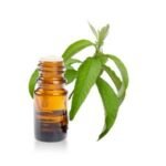 RACINE VITA Huile de camphree 1L