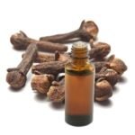 RACINE VITA Huile essentielle de girofle 10 ml