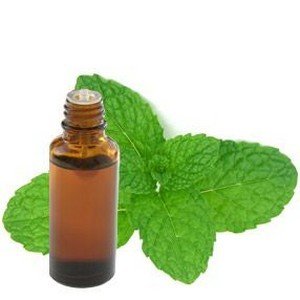 RACINE VITA Huile essentielle de menthe 10 ml
