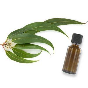 RACINE VITA Huile essentielle d&rsquo;eucalyptus 10 ml