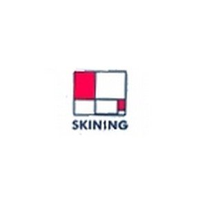 Skining Shampoing Anti-Chute 200 ml